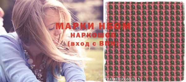 крисы Вязьма