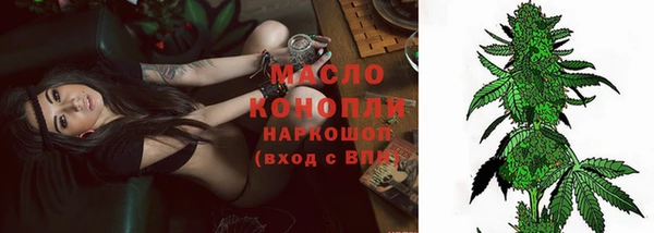 крисы Вязьма
