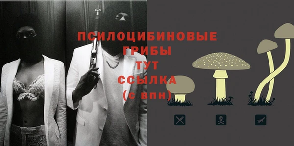 стаф Вязники