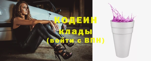 mdpv Вяземский