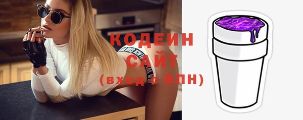mdpv Вяземский