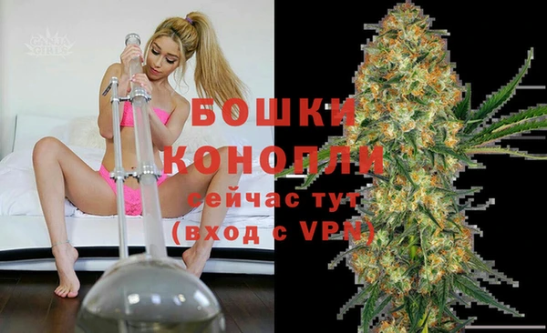 стаф Вязники