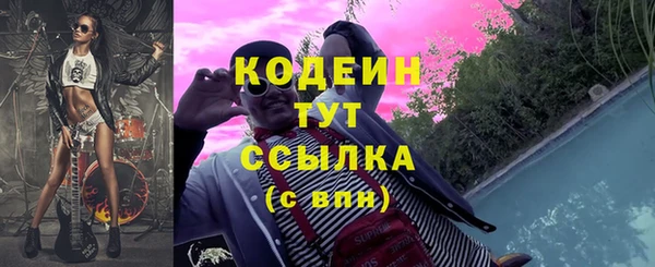 крисы Вязьма
