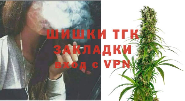 стаф Вязники