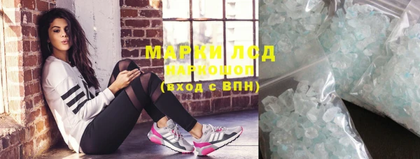 крисы Вязьма
