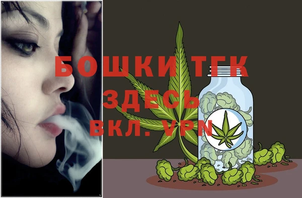 крисы Вязьма
