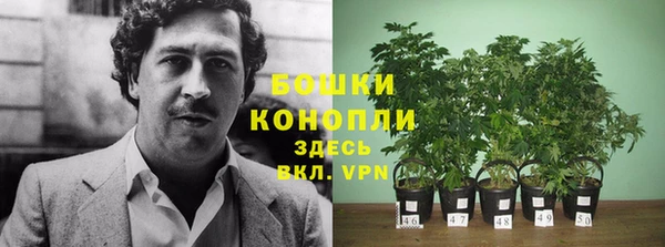 крисы Вязьма