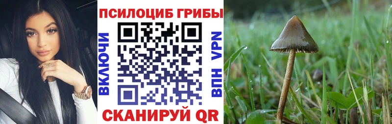 Псилоцибиновые грибы MAGIC MUSHROOMS  кракен рабочий сайт  Сланцы 